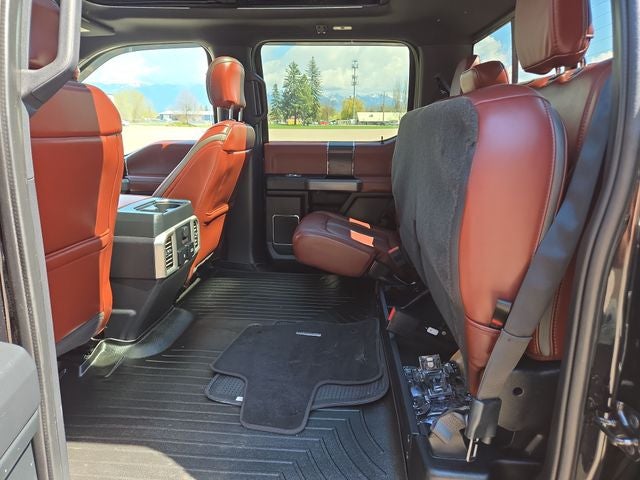 2020 Ford F-150 Platinum