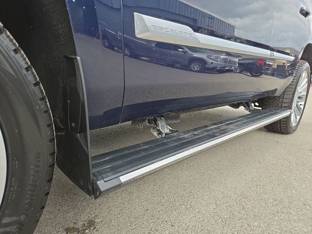 2019 Cadillac Escalade Platinum Edition