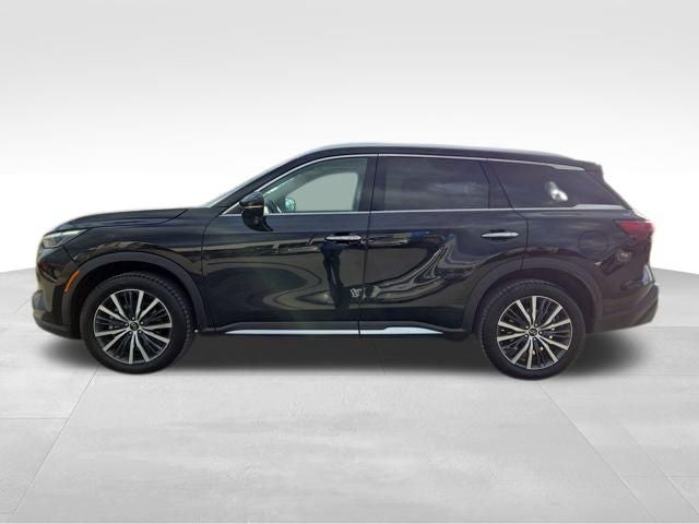 2024 INFINITI QX60 Sensory