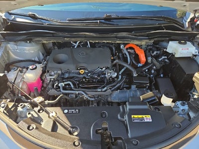 2023 Toyota Sienna XSE 7 Passenger