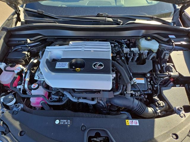 2021 Lexus UX 250h Base