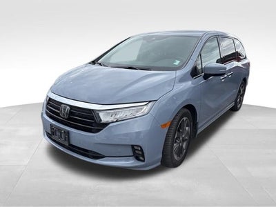 2024 Honda Odyssey Elite