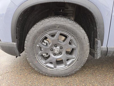 2025 Honda Pilot TrailSport